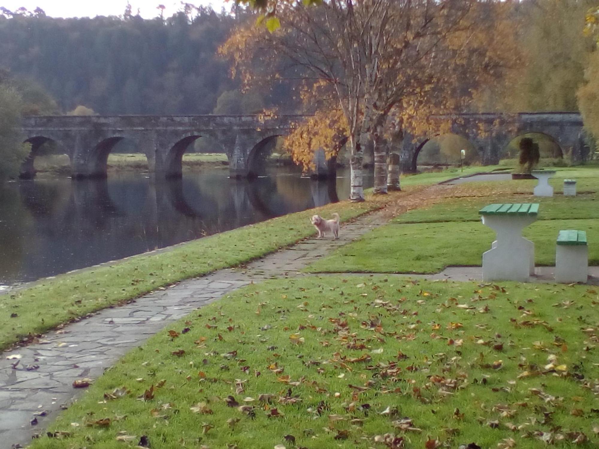 Woodstock Arms Bed & Breakfast Inistioge ภายนอก รูปภาพ